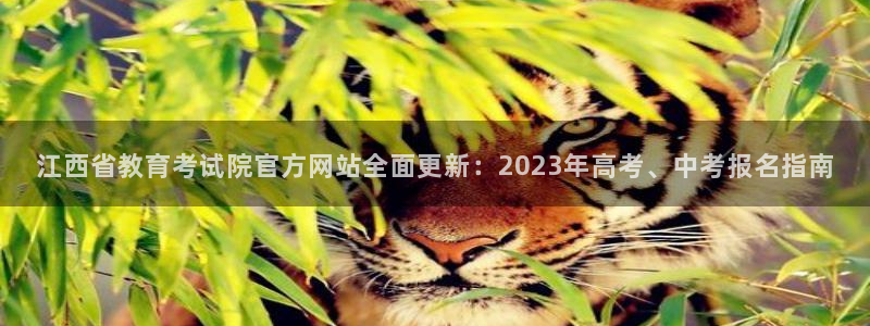 jdb电子可以操控的吗