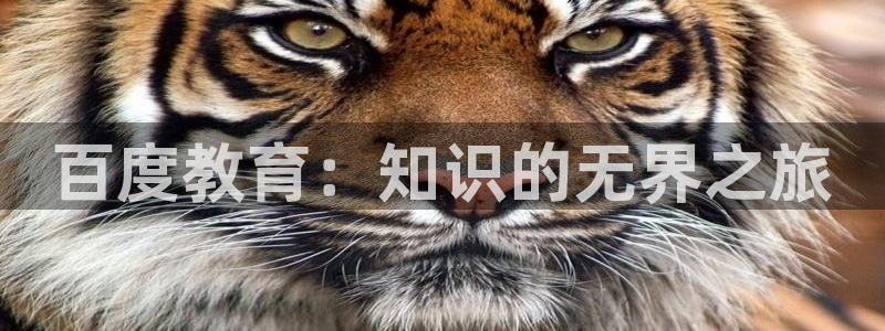 jdb电子游戏视频