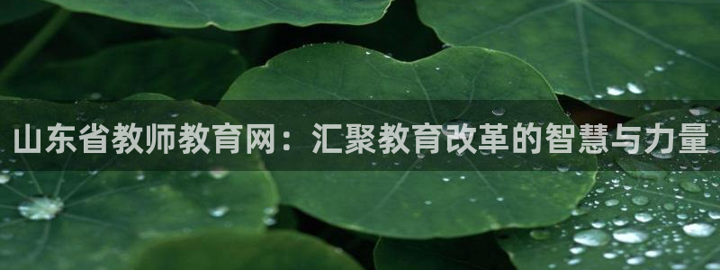 jdb游戏平台官网