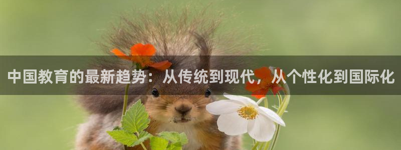 jdb游戏经验