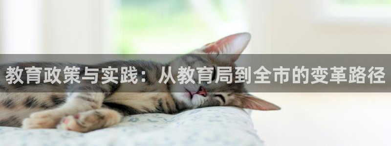 jdb试玩2000的网站是什么