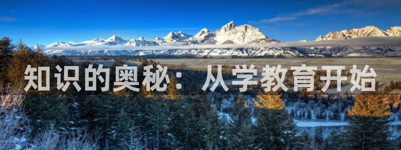 jdb电子游戏作弊