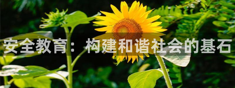 jdb电子哪个游戏容易爆大奖