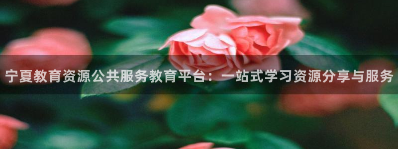 jdb电子网址大全