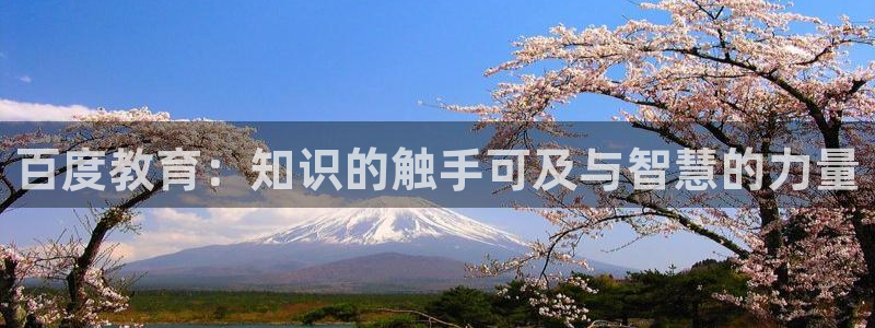 jdb游戏公司