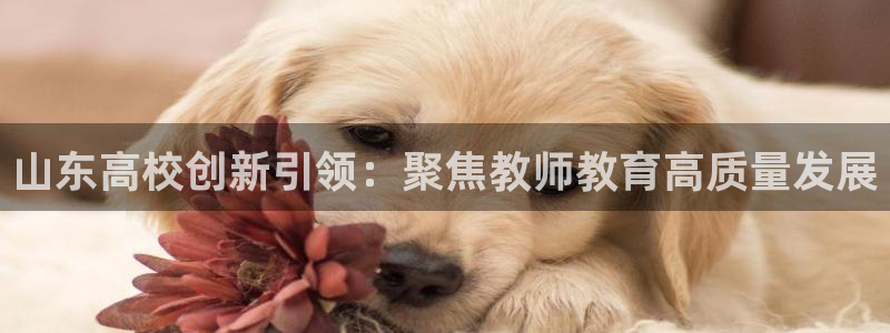 夺宝jdb电子交流