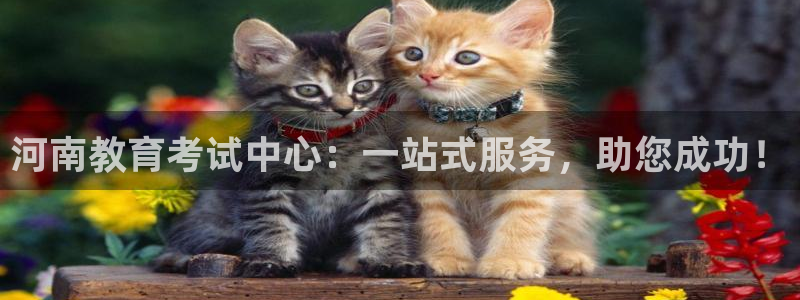 jdb彩金jp获得