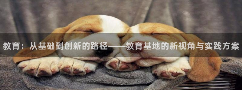 jdb什么游戏容易爆大奖
