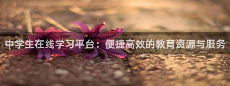 jdb电子模拟器体育官网入口