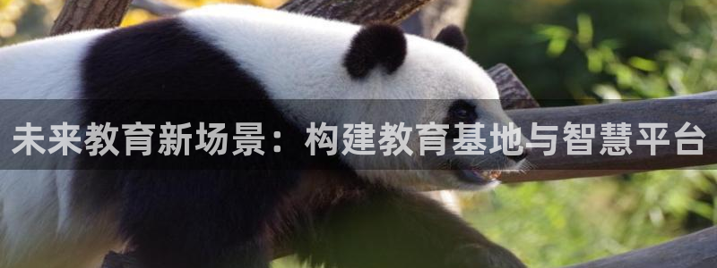 JDB电子官网平台