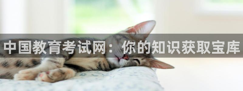 jdb电子游戏修改器