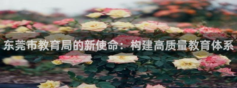 JDB游戏有购买免费旋转吗