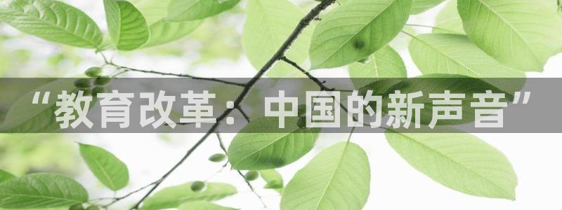 jdb电子体验