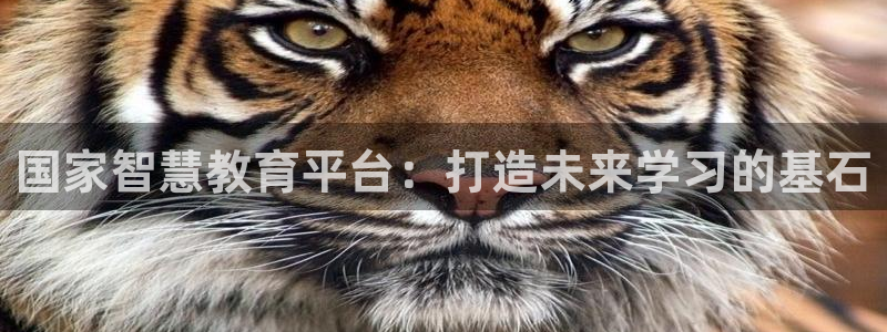 jdb电子金刚倍率