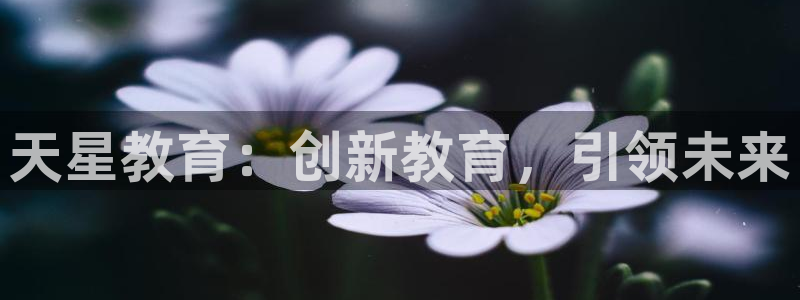 jdb电子开户官网